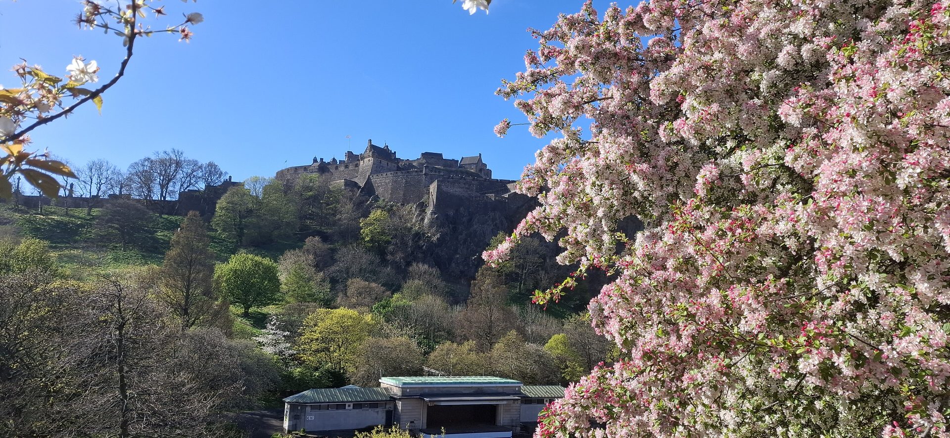 Edinburgh Castle on its rock, seen through blossom from Princes Street