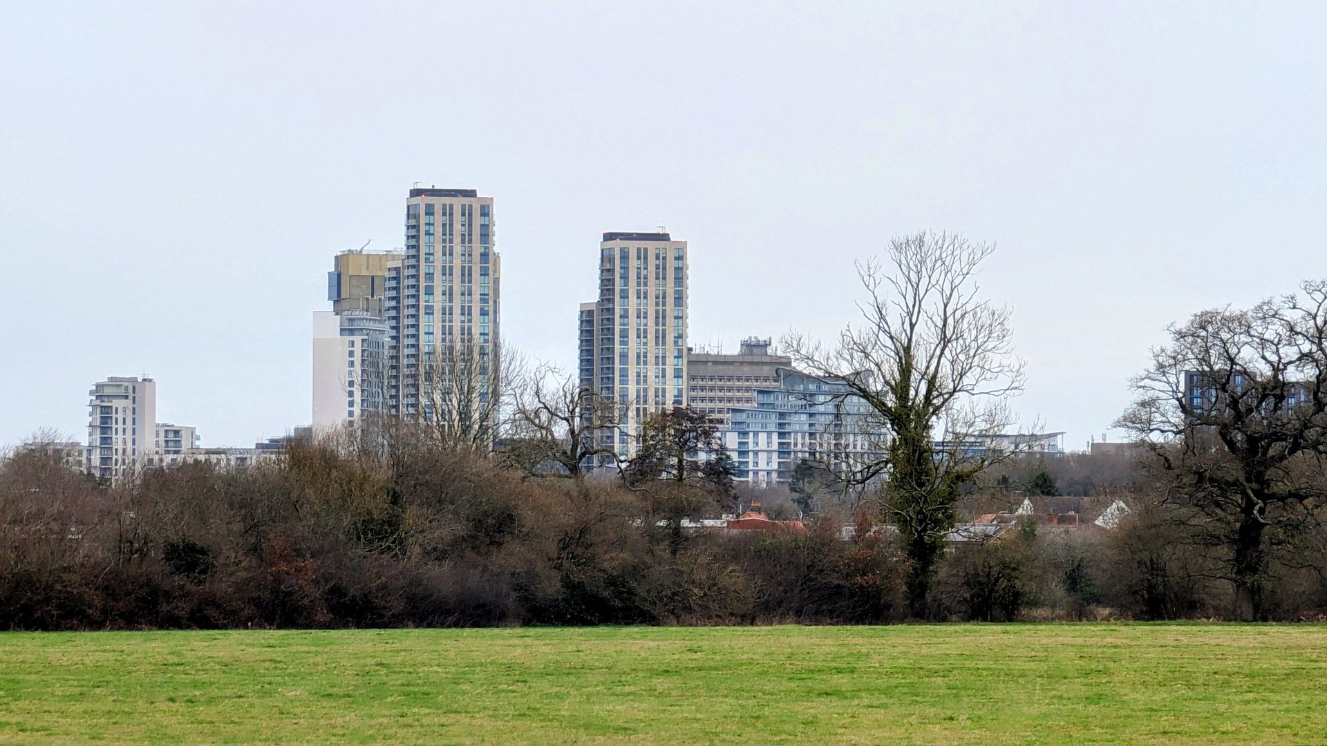 The Woking town-centre towers seen across the fields