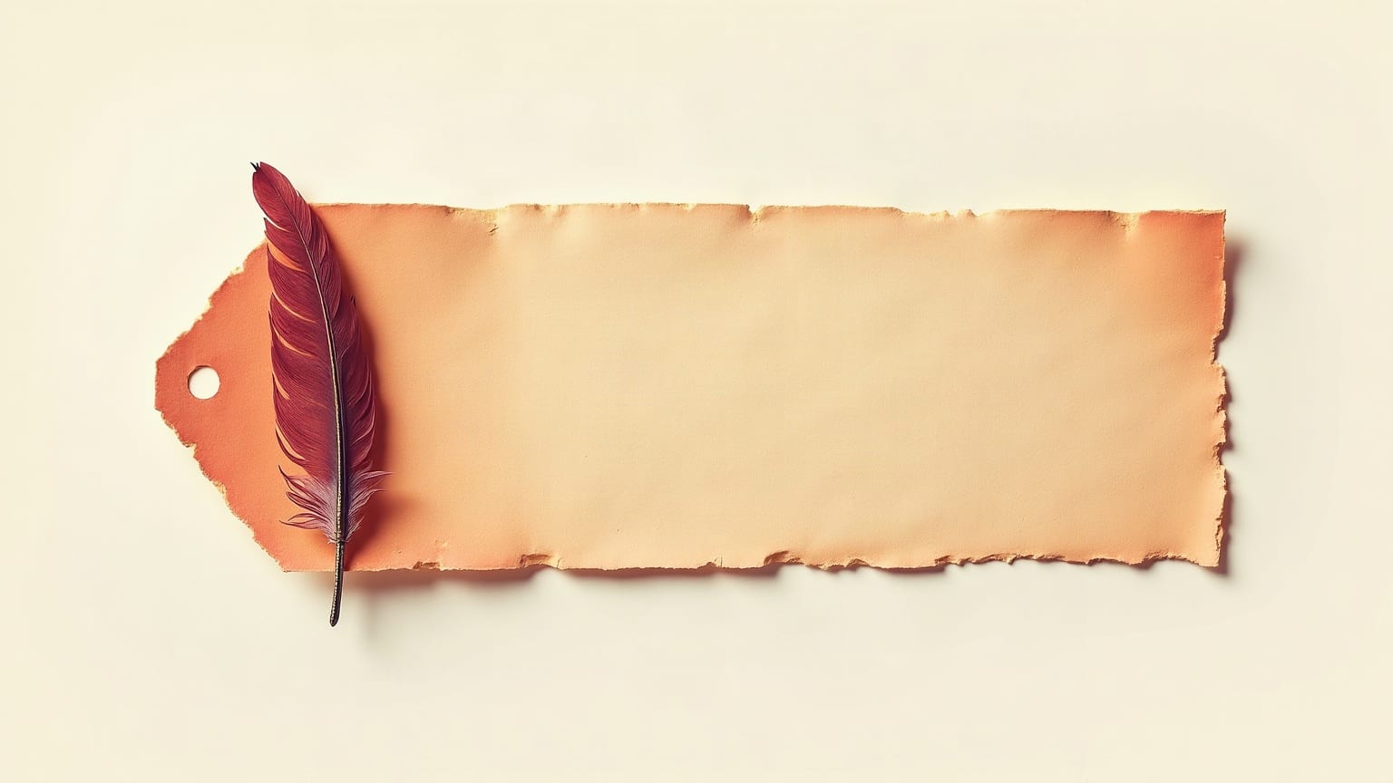 Cut-paper illustration: a single torn paper stub with a feather shape punched near one end.